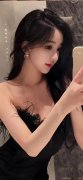斯特兰蒂斯集团暗